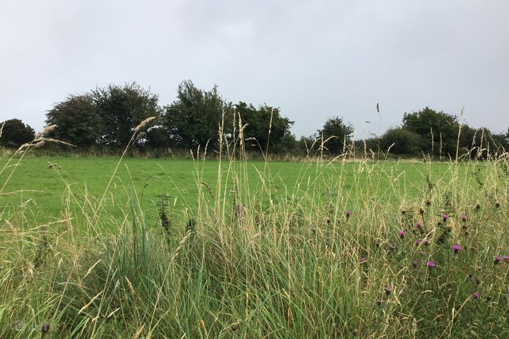 Cloongoonagh, Tooreen, Ballyhaunis, Co. Mayo