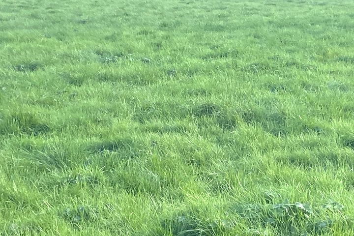 Lower Monard & Russelstown, Monard, Co. Tipperary, E34W657