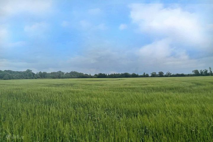 Painestown, Beauparc, Navan, Co. Meath