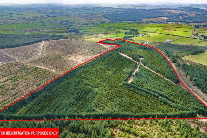 Glennamucklagh, Newmarket, Co. Cork