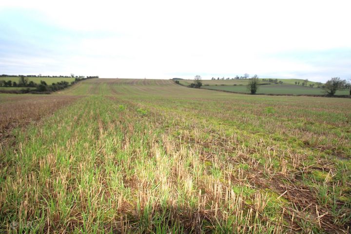 Faughalstown , Castlepollard, Co. Westmeath