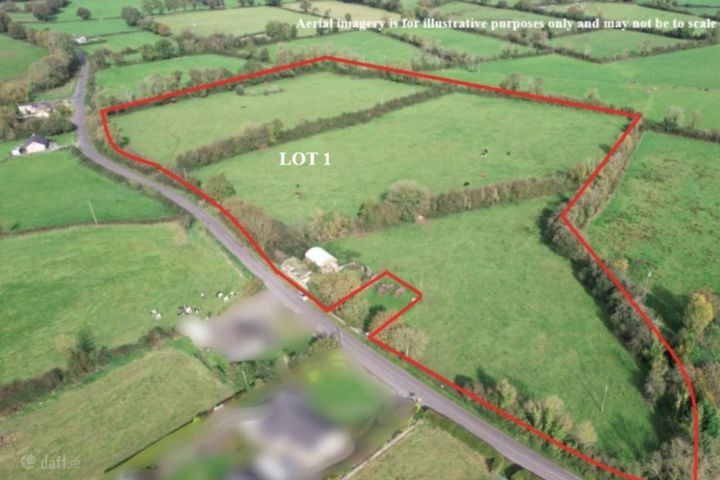 Castletown, Kilmallock, Co. Limerick
