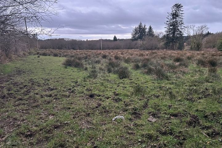 Tureenamult, Gneeveguilla, Gneevguilla, Co. Kerry, P51FR53