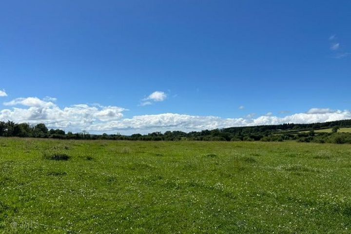 Lickfinn, Ballynonty, Co. Tipperary, E41DR70