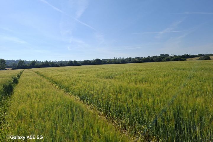 Rathdaniel, Collon, Co. Louth