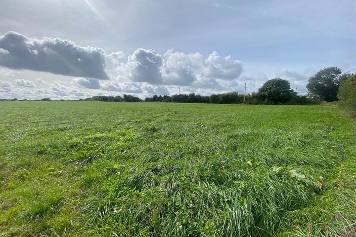 Puckstown, Dunleer, Co. Louth