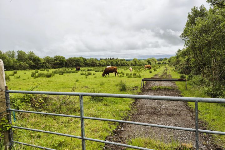 Sargura, Charlestown, Bellaghy, Co. Sligo