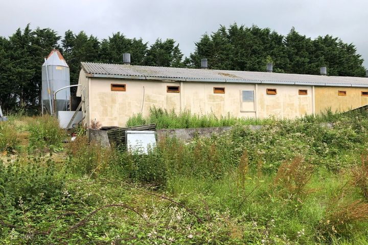 Glebe house ruins and pig farm, Anglont, Killorglin, Co. Kerry, V93HX2V