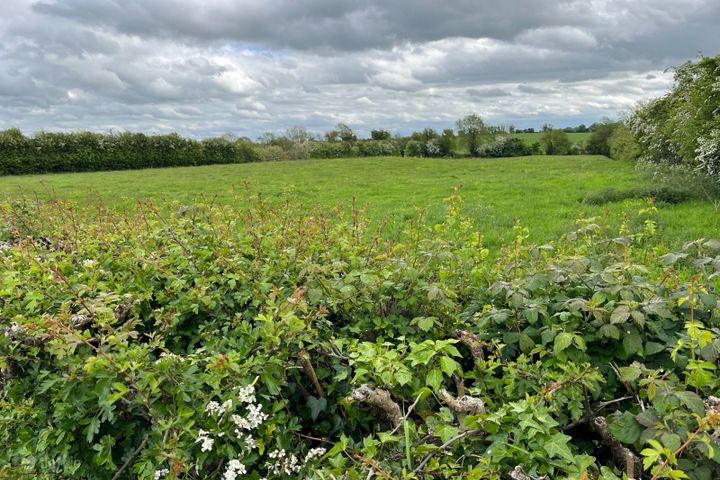 Alexanderaide, Kentstown Road, Navan, Co. Meath
