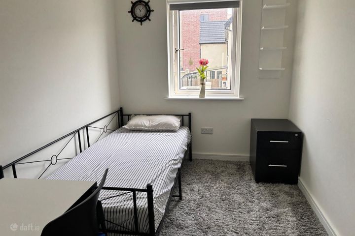 Mercer Vale, Cherrywood, Dublin 18