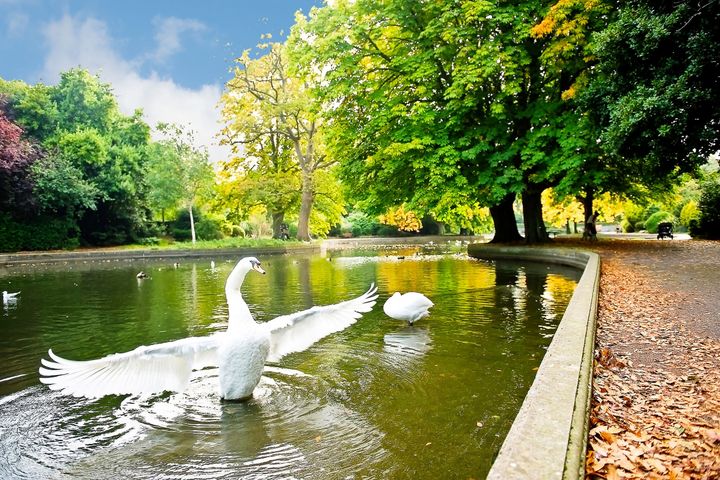 No 5a Elgin Road, Ballsbridge, Dublin 4, Dublin