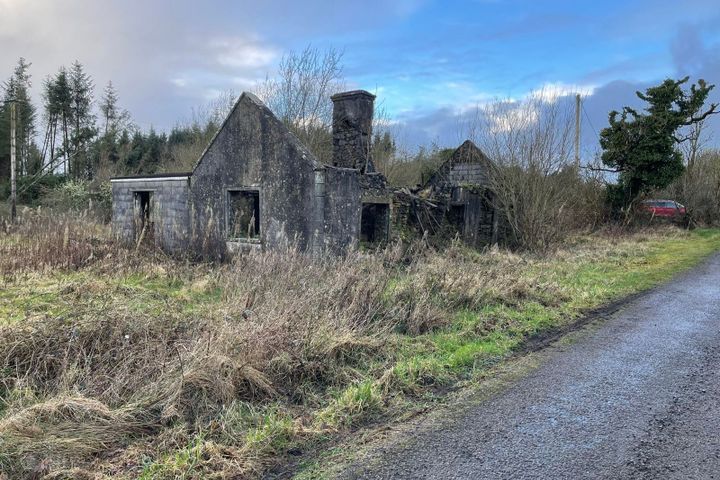 Bella, Frenchpark, Lurgan, Co. Roscommon, F45YW64