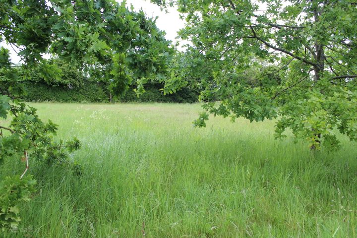 0.75 Acre Site Slyguff, Slyguff,, Bagenalstown,, Co. Carlow