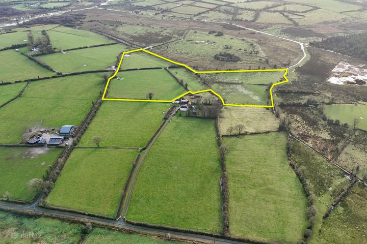 14.59 acres (approx.) at Oakfield, Strokestown, Co. Roscommon, F42WD53
