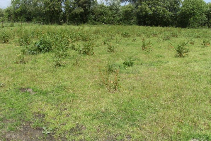 Monamonra, Errill, Co. Laois