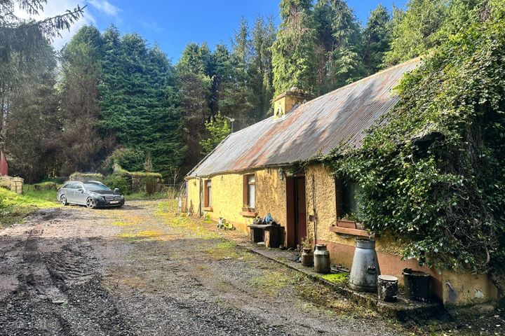 Knockdown, Athea, Co. Limerick, V94KTY5