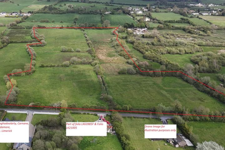 Cloghadoolarty North, Carnane, Fedamore, Limerick, Co. Limerick