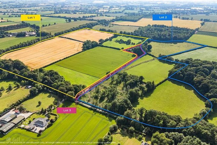 Whole: Lands & Cottage, Lisnavagh, Rathvilly, Co. Carlow, R93K162