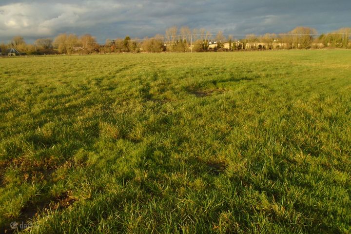 Shellumsrath Kilkenny, Kilkenny, Co. Kilkenny