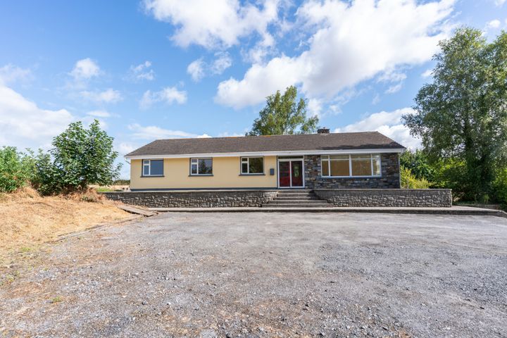 Wells,, Bagenalstown,, Co. Carlow, R21K256
