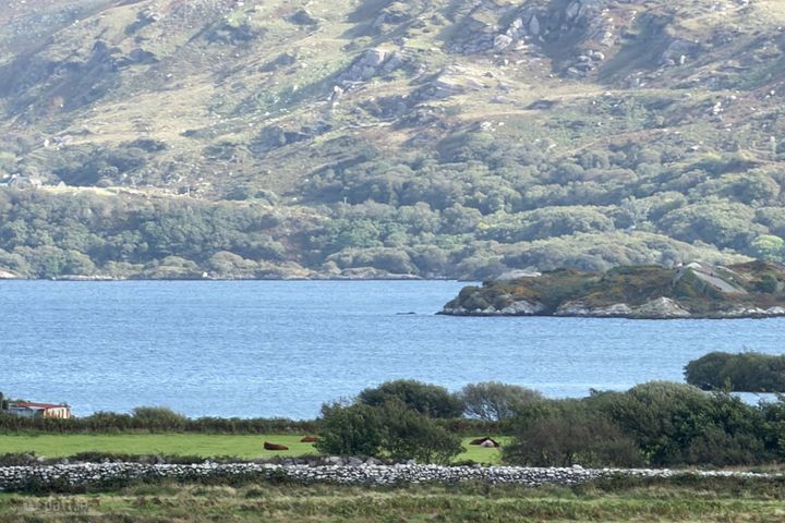 Beenbane, Waterville, Co. Kerry, V23F653