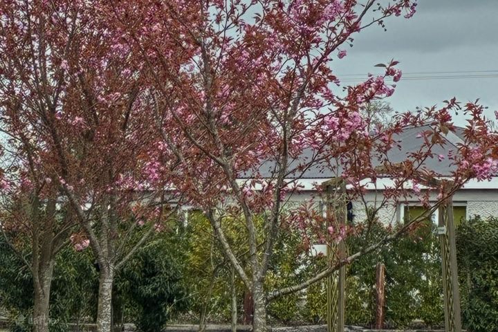 Kilcloon Holiday Cottages, Brownstown, Kilcloon, Maynooth, Co Meath , Kilcloon, Co. Meath