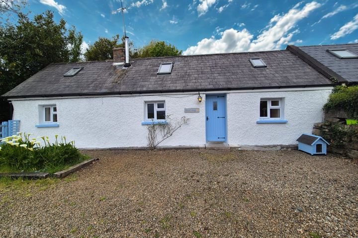 Bluebell, Ballyshonogue, Tinahely, Bridgeland, Co. Wicklow, Y14C982