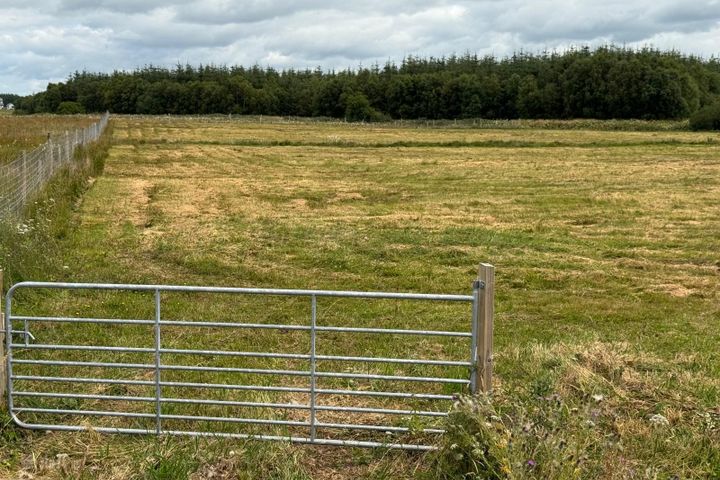 Kilcreevanty, Tuam, Co. Galway