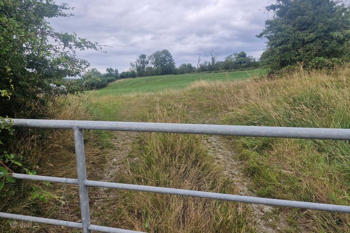 Copponagh Lane, Coppanagh, Co. Cavan