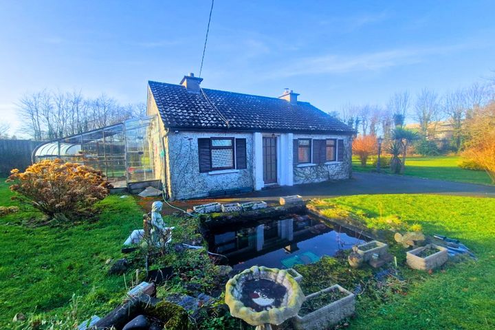 Greatdowns, The Downs, N91R6K0