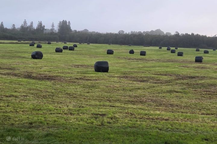 Glencarra, Loughanavalley, Co. Westmeath
