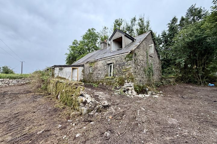 Leo, Ballyhaunis, Co. Mayo