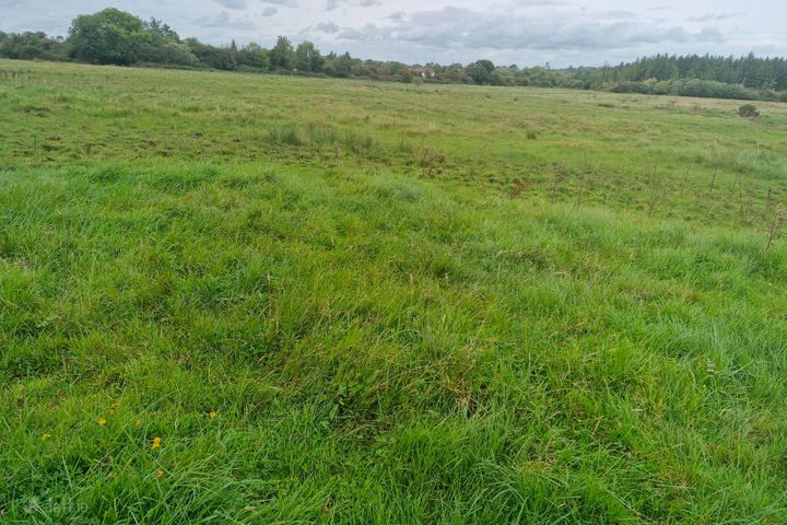 Moher, Ballinasloe, Co. Galway