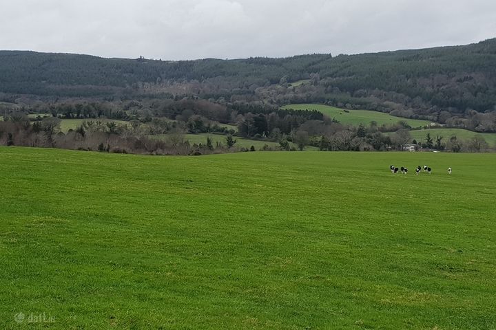 Site 0.75 acre Ballylusk, Ashford, Co. Wicklow