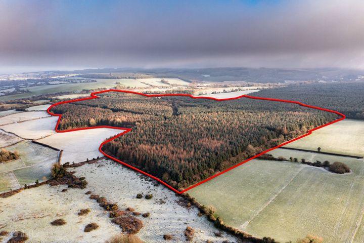 Letter, Cadamstown, Co. Offaly