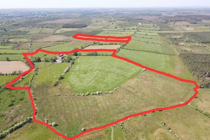 C.42 acre Residential Farm at Termon Beg, Castlerea, Co. Roscommon, F45N596