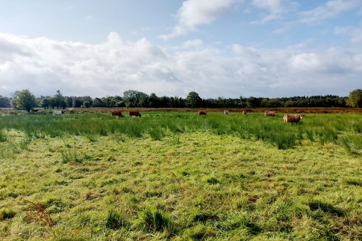 Ayle, Feakle, Co. Clare