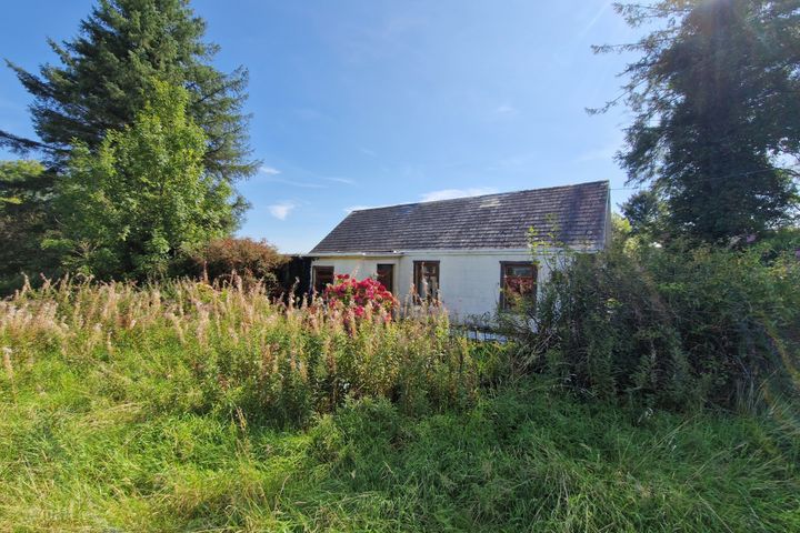 Carrowmore, Killasser, Swinford, Co Mayo, F12A722