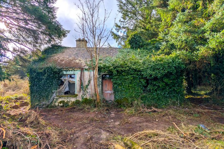 Derelict Cottage at Carracastle, Carracastle, Co. Mayo