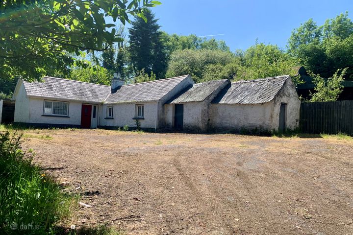 Tolerton, Ballickmoyler, Carlow, Co. Laois, R93YK13