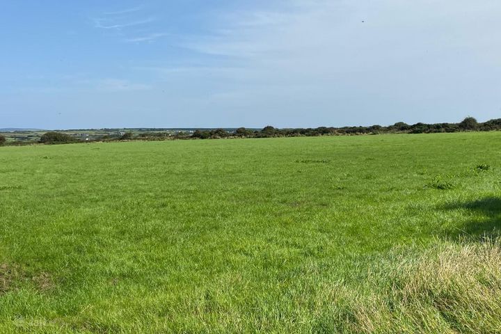 Rahona West, Carrigaholt, Kilrush, Carrigaholt, Co. Clare, V15PK07