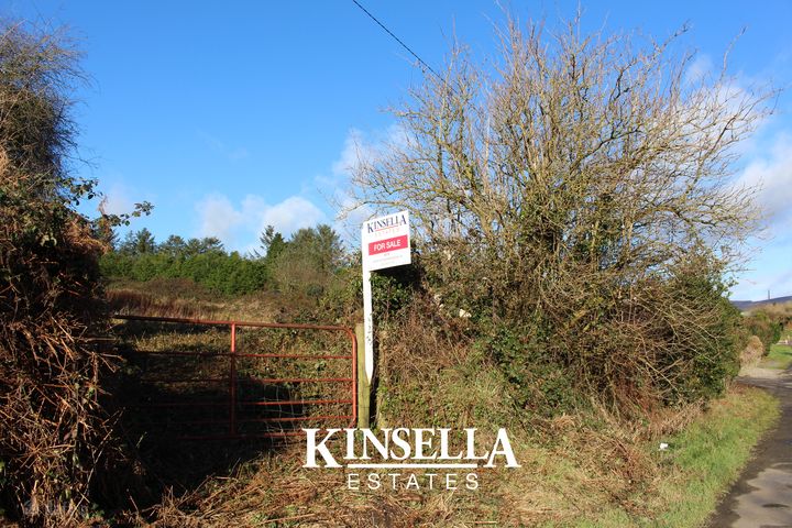 Mount Pleasant, Tinahely, Co. Wicklow, Y14D821