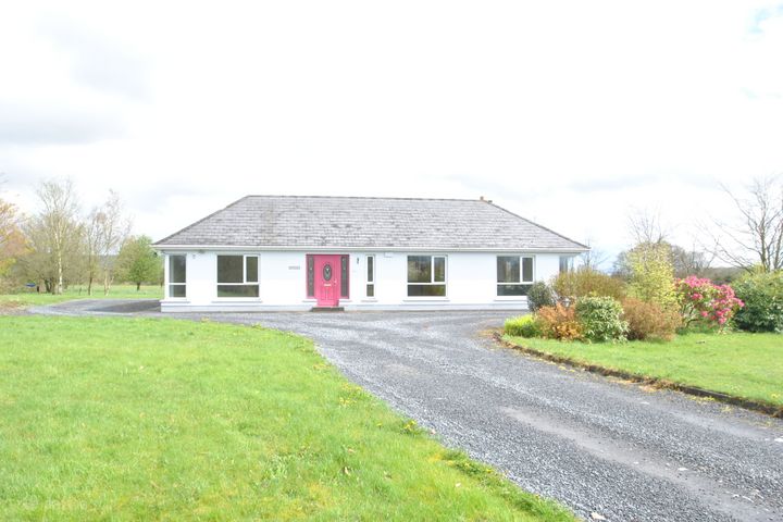 Derrycarrow, Camross, Co Laois, R32TF21