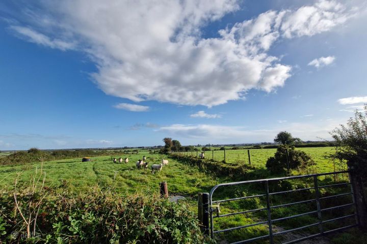 7.7 Acres Of Land In Lehid, Lehid, Tuam, Co. Galway