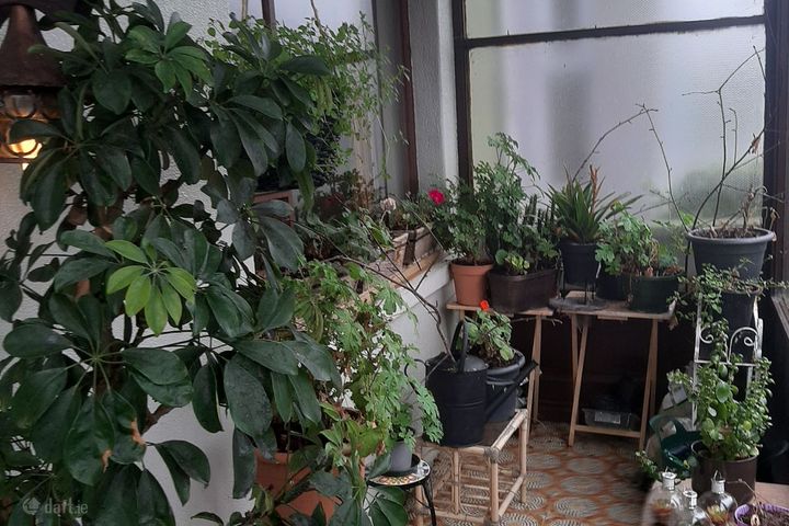 2 University Road, Galway, Nun's Island, Co. Galway