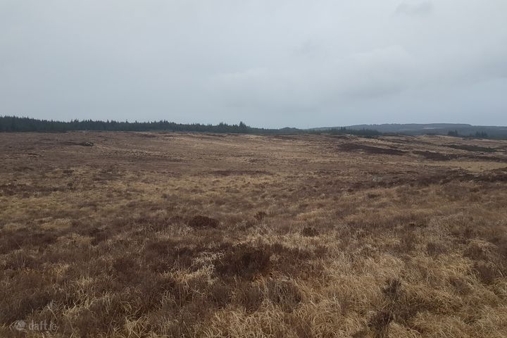 Tyreda Upper, Tulla, Co. Clare