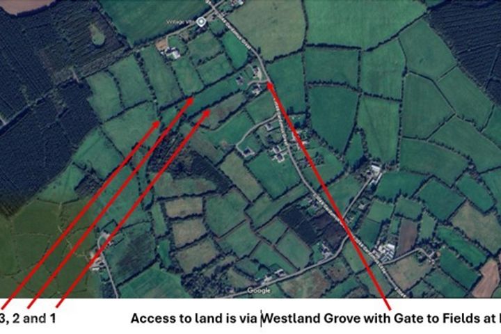 Gardamus (Westland Grove), Mayglass, Co. Wexford