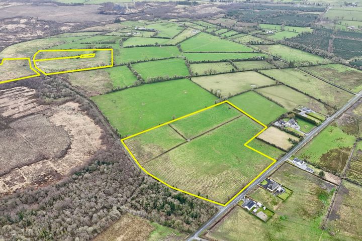 33.5 Acres (Approx.) To Lease/To Let at Corbo, Kilrooskey, Co. Roscommon