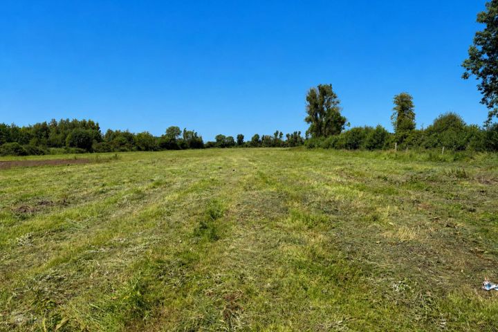 Abbeyland, Castledermot, Co. Kildare