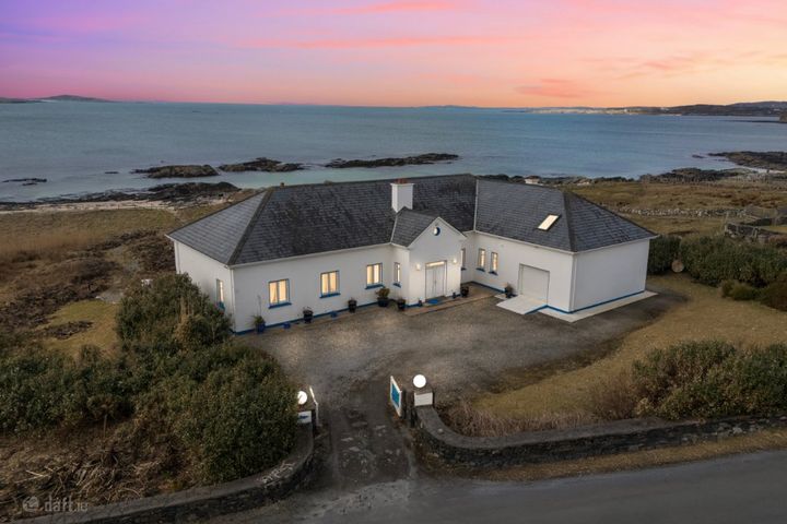 Blue Salmon, Ballyconneely, Clifden, Co. Galway, H71XK11
